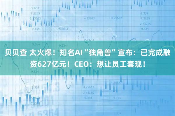 贝贝查 太火爆！知名AI“独角兽”宣布：已完成融资627亿元！CEO：想让员工套现！