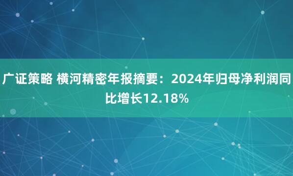 广证策略 横河精密年报摘要：2024年归母净利润同比增长12.18%
