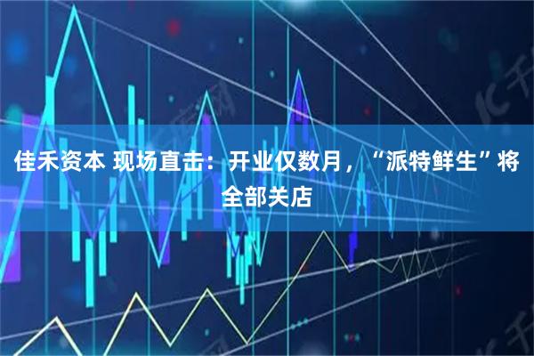 佳禾资本 现场直击：开业仅数月，“派特鲜生”将全部关店