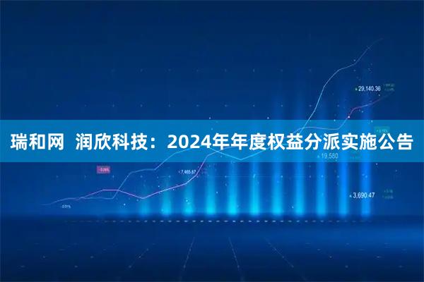 瑞和网  润欣科技：2024年年度权益分派实施公告