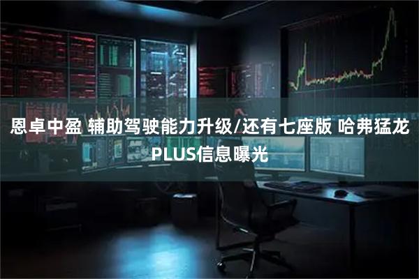 恩卓中盈 辅助驾驶能力升级/还有七座版 哈弗猛龙PLUS信息曝光