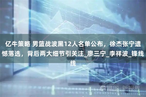 亿牛策略 男篮战波黑12人名单公布，徐杰张宁遗憾落选，背后两大细节引关注_廖三宁_李祥波_锋线