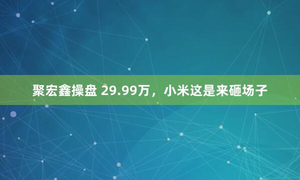 聚宏鑫操盘 29.99万，小米这是来砸场子