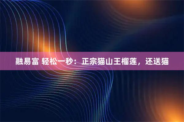 融易富 轻松一秒：正宗猫山王榴莲，还送猫